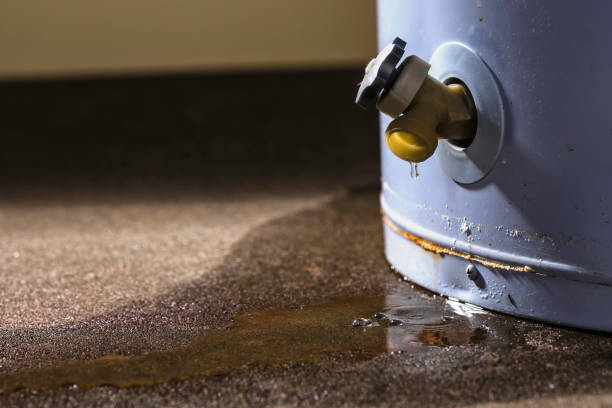 Best Water damage restoration near me  in University Heights, OH