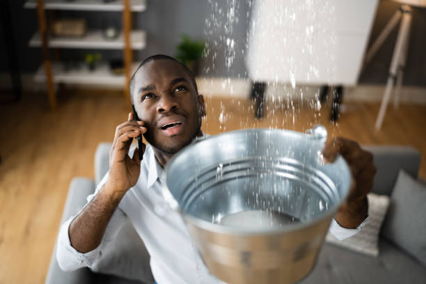 Best Sewage cleanup and water damage restoration  in University Heights, OH