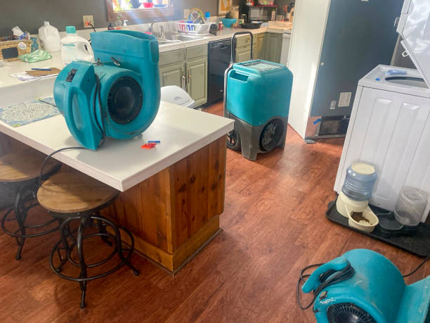 Carpet water damage restoration in University Heights, OH