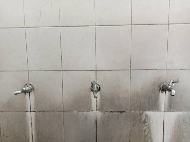 Best Local water damage restoration  in University Heights, OH