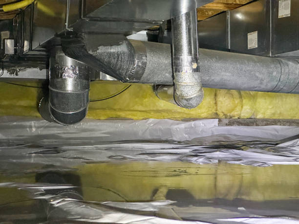 Best Water damage cleanup near me  in University Heights, OH