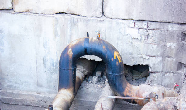 Best 24/7 water damage repair  in University Heights, OH