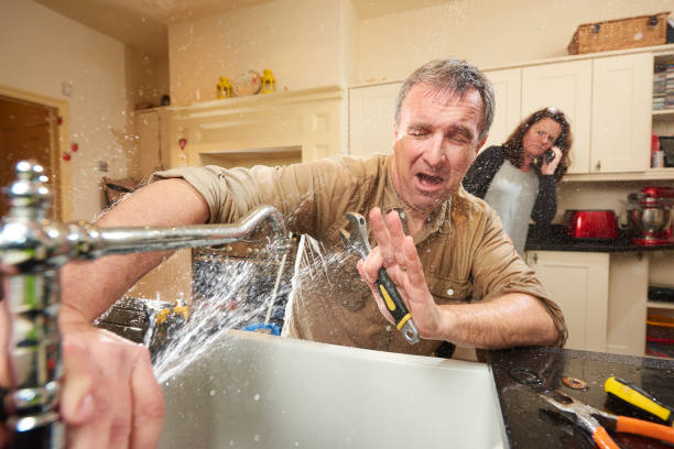 Best Flooded house restoration  in University Heights, OH
